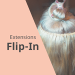 Flip-in-Extensions